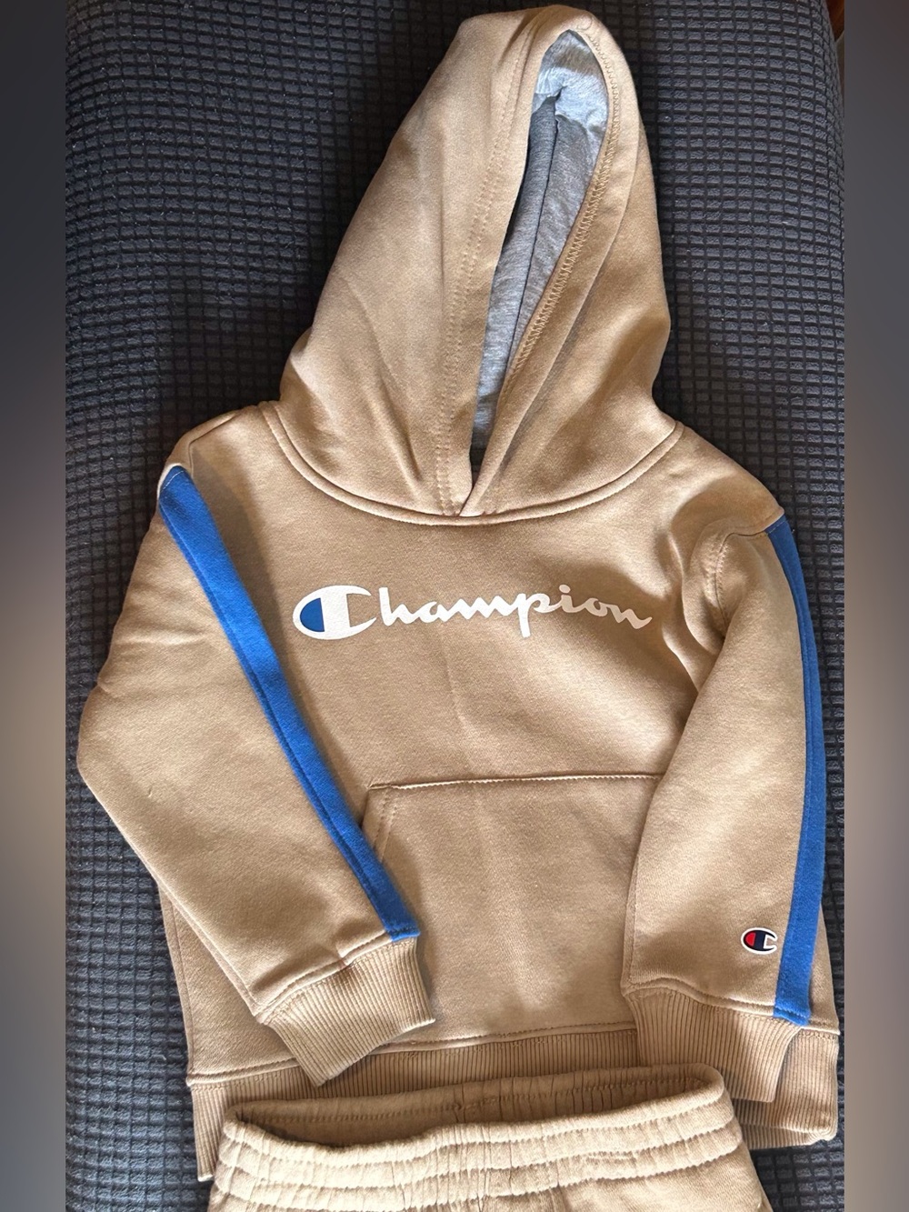 Champion hoodie & Sweatpans combo size 3T